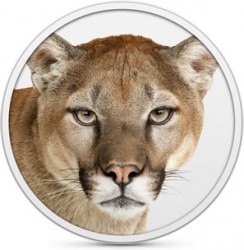 mountain-lion